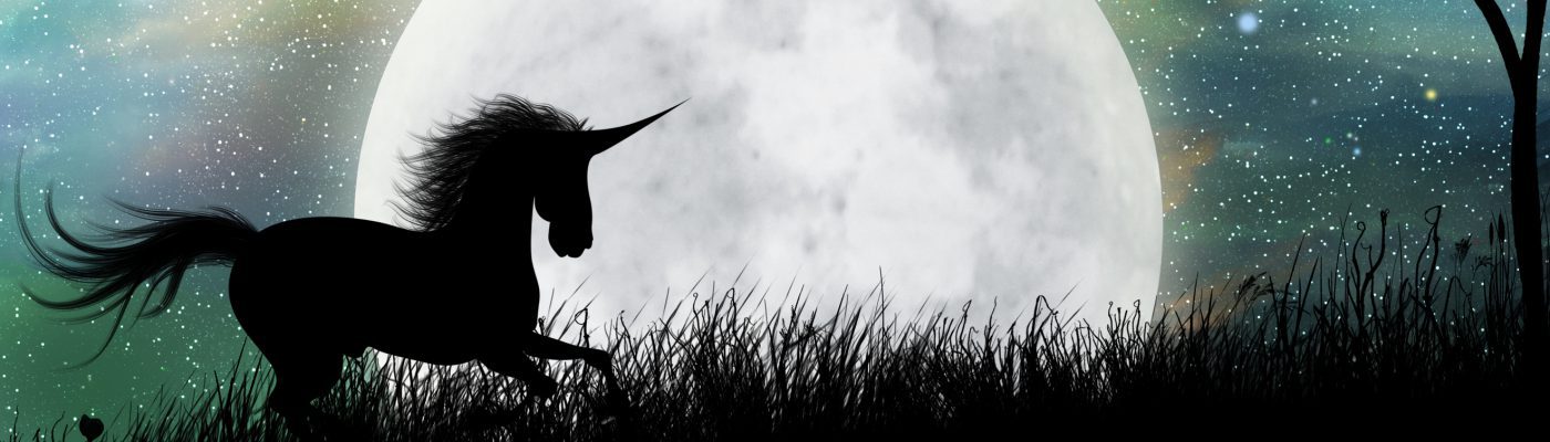 Anamnesis by Oana Popa Rengle